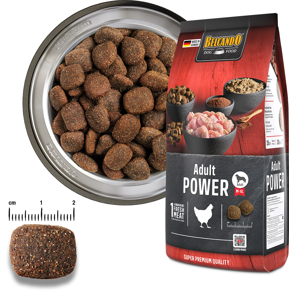 Belcando Näyte Adult Power*10kpl