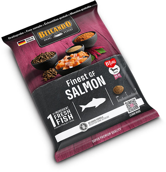 Belcando Näyte Finest GF Salmon*10kpl