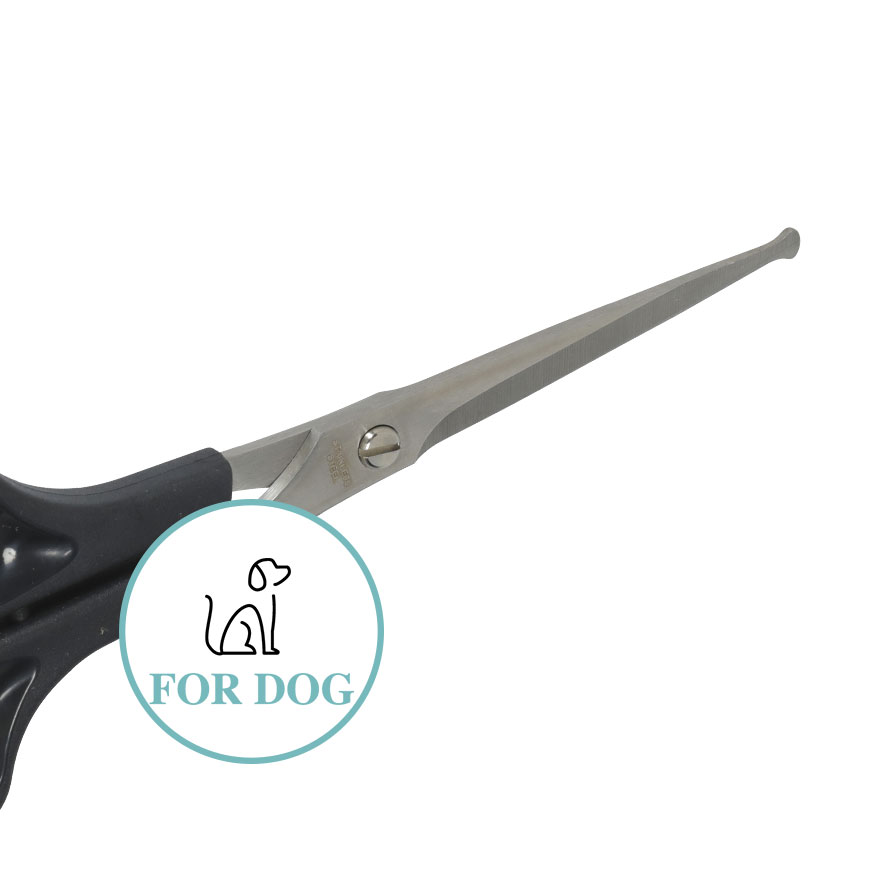 Zolux Anah scissors