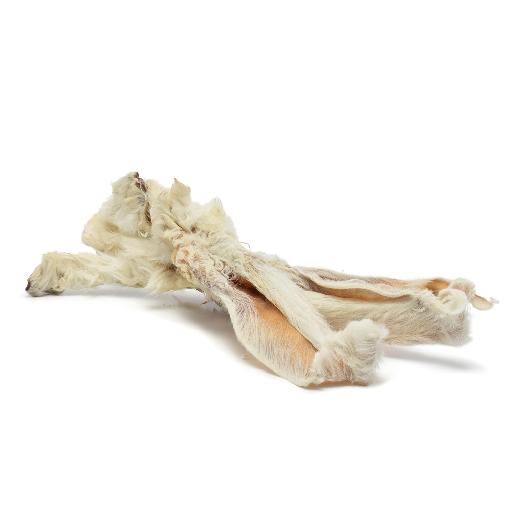 Ferplast Rabbit Ears 3kpl