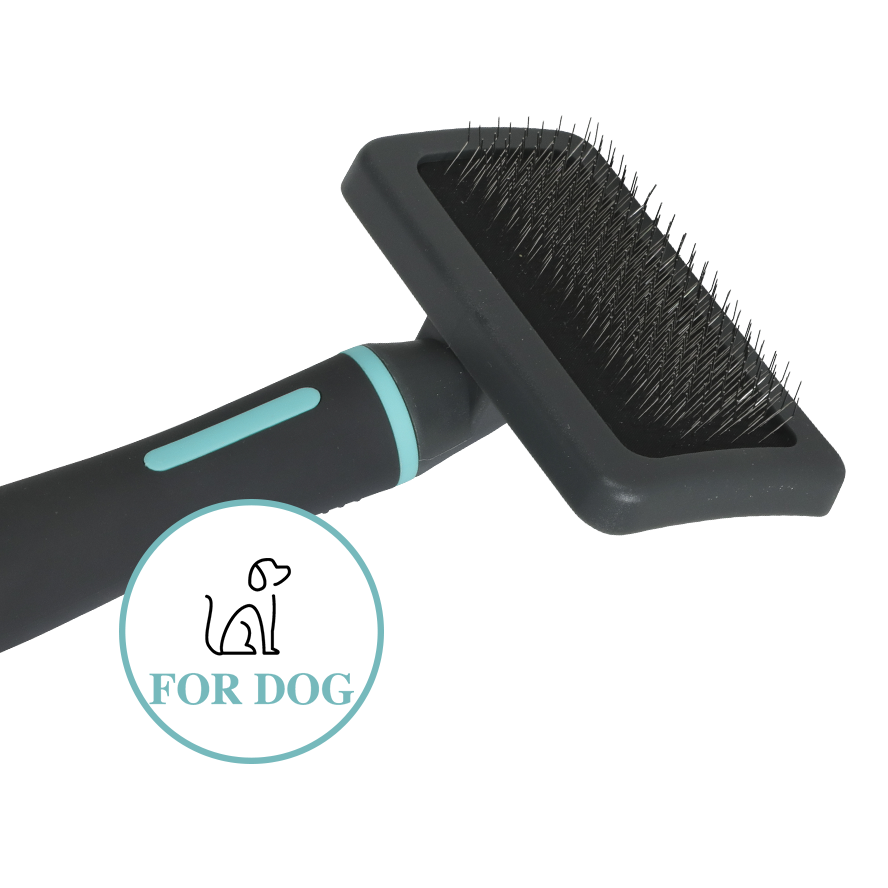 Zolux Anah karsta L